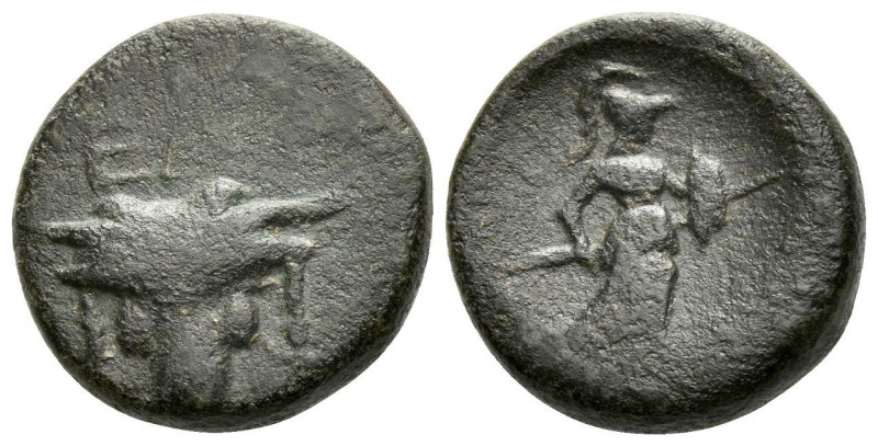 Phocis, Elateia Bronze II cent., Æ 17.00 mm., 5.01 g.
Facing bull’s head with E...