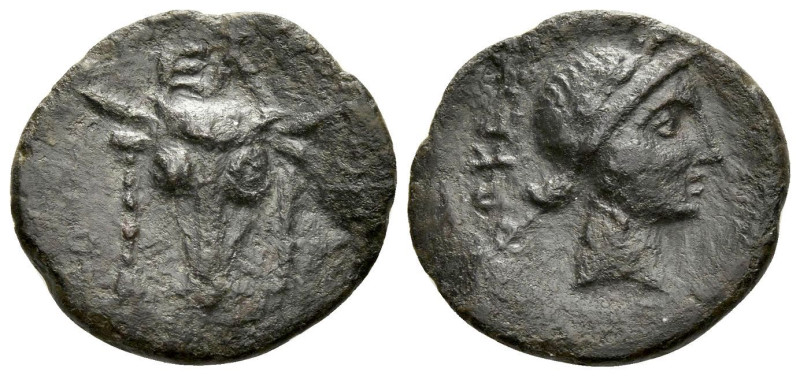 Phocis, Elateia Bronze early II cent., Æ 19.10 mm., 2.94 g.
Bull facing, in the...
