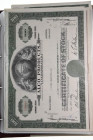 USA, Historische Wertpapiere, ca. 1955-1980, Sammlung mit über 400 Aktien in 2 Sonder-Alben aus verschiedenen Branchen, bei einigen Ex. Dubletten vorh...