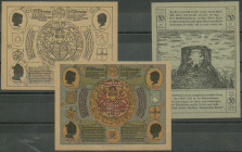 Artern (PrST/Th) Bergwart (Bärchword en Odärn), 3x 50 Pfennige 2.1.1921 (Grab. 45.1 &2 &4). I/unc.
