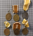6x Deutsches Schutzwall-Ehrenzeichen, teilweise am Band oder Bandabschnitt/Bandspange, OEK 3520, unterschiedlicher Zustand.