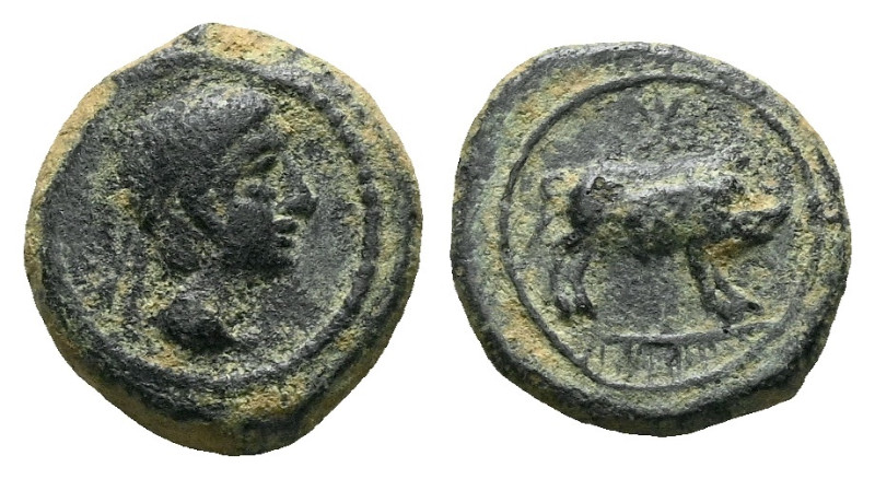Hispania, Castulo Bronze circa II century, Æ 15.00 mm., 3.58 g.

VF