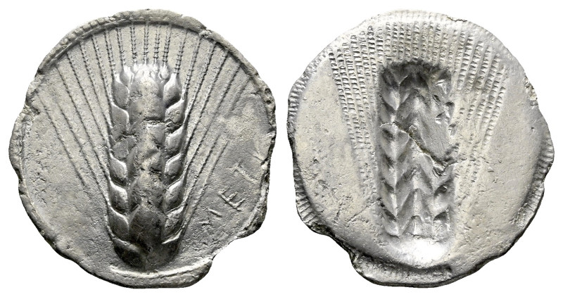 Lucania, Metapontum Nomos circa 510-470, AR 29.00 mm., 6.50 g.

VF

VF