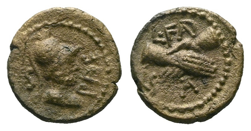 Lucania, Paestum Semis circa 90-45, Æ 15.00 mm., 2.57 g.

Good VF