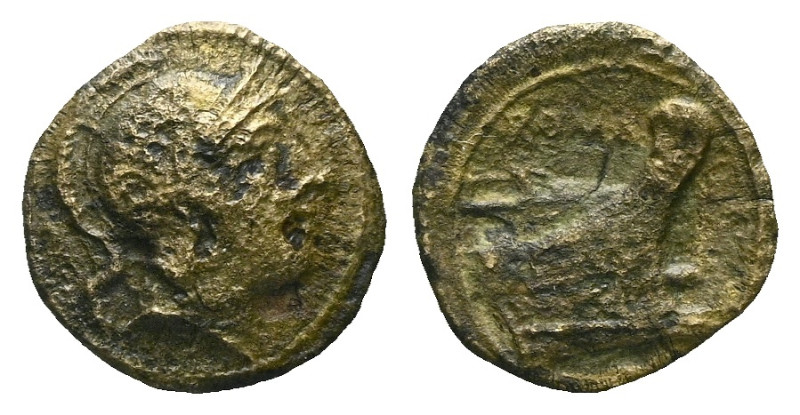 Quartuncia circa 217-215, Æ 15.00 mm., 1.88 g.

About VF