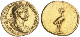 RÖMISCHE MÜNZEN. RÖMISCHE KAISERZEIT. Traianus, 98 - 117.&nbsp;&nbsp; 
 Aureus, Divus-Prägung unter Hadrian. Rev. Phönix.
RIC (Hadrian) 2453; Cal. 9...