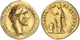 RÖMISCHE MÜNZEN. RÖMISCHE KAISERZEIT. Antoninius Pius, 138 - 161.&nbsp;&nbsp; 
 Aureus. Rev. Stehende Pietas an Altar.
RIC 14a; Cal. 1475 Gold, R ! ...