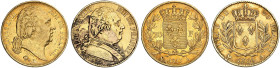 EUROPA. FRANKREICH. - Königreich. Louis XVIII., 1814-1815-1824.&nbsp;&nbsp; 
 Lot von 2 Stück: 20 Francs au buste habillé 1814, A - Paris, au buste n...