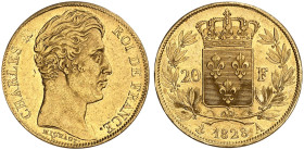 EUROPA. FRANKREICH. - Königreich. Charles X., 1824-1830.&nbsp;&nbsp; 
 20 Francs 1828, A - Paris.
Friedb. 549, Gad. 1029, Schlumb. 180 Gold f. vz