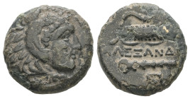 Kings of Macedon, Alexander III 'the Great', 336-323 BC. AE. 4.46 g - 17.21 mm.