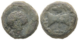 Kings of Thrace. Amatokos II, 389-380 BC. AE. 16.01 g - 19.10 mm.