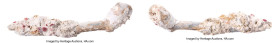 "Pipa de Arcilla" Shipwreck Clay Pipe ND (ca. 1600's), 145mm. 52.19gm. Accompanied by COA. Salvaged from the "Pipa de Arcilla" (sunk ca. 1630's in the...