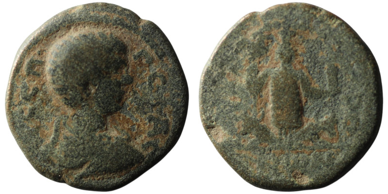 DECAPOLIS. Dium. Geta, Caesar (AD 198-209)
AE Bronze (24mm, 9,11g)