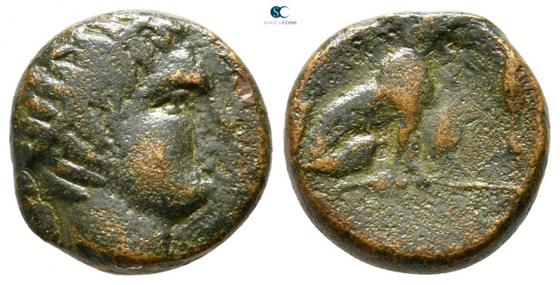 Islands off Elis. Cephallenia. Pale 370-189 BC. 
Bronze Æ

14 mm., 3,26 g.
...