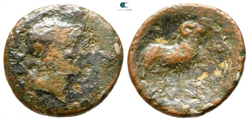 Islands off Elis. Cephallenia. Same 370-189 BC. 
Bronze Æ

18 mm., 2,69 g.
...