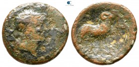 Islands off Elis. Cephallenia. Same 370-189 BC. Bronze Æ