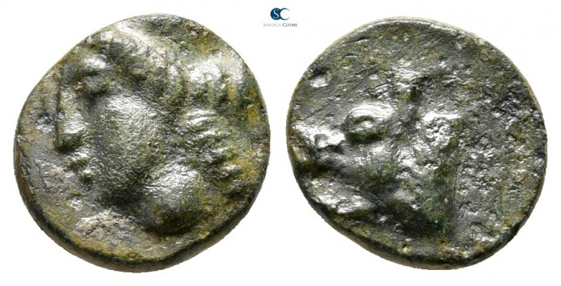 Argolis. Argos 228-146 BC. 
Bronze Æ

9 mm., 0,91 g.



very fine