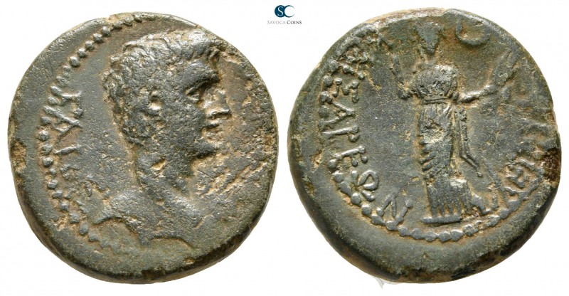 Lydia. Tralleis (as Caesarea). Caius, as Caesar 20 BC-AD 4. 
Bronze Æ

19 mm....