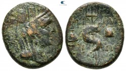 Phoenicia. Berytus 50 BC. Bronze Æ