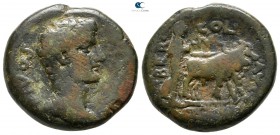 Phoenicia. Berytus. Augustus 27 BC-AD 14. Bronze Æ