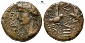 Phoenicia. Berytus. Claudius AD 41-54. Bronze Æ