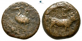 Egypt. Alexandria. Caligula AD 37-41. Dichalkon Æ