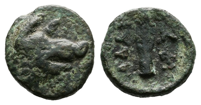 Thrace. Seleucids. Adaios, strategos, circa 255-246 BC. Bronze (14.3 mm, 3.05 g....