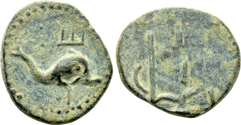 KINGS OF BOSPOROS. Polemo I (Circa 37-8 BC). Ae. Pantikapaion. 

Obv: Dolphin ...