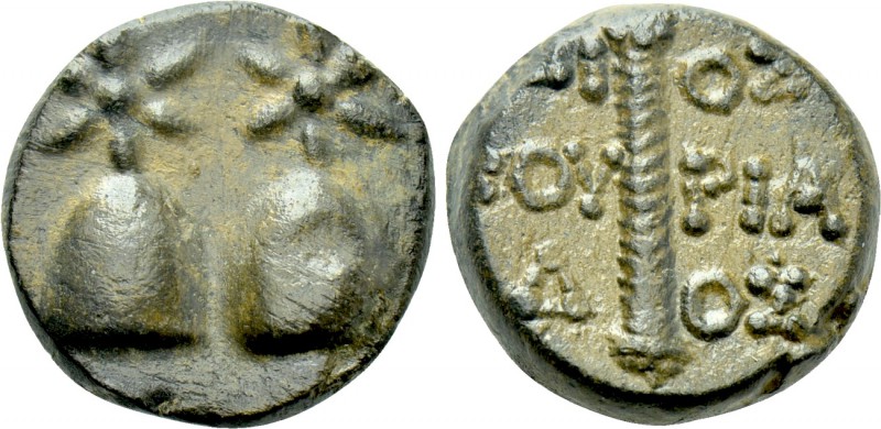COLCHIS. Dioscurias. Time of Mithradates VI Eupator (Circa 105-90 BC). Ae. 

O...