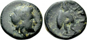 TROAS. Ophrynion. Ae (Circa 350-300 BC).