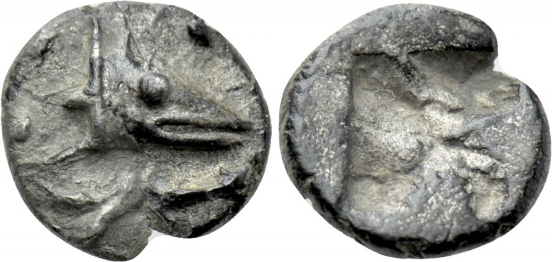 MYSIA. Kyzikos. Hemiobol (Circa 530-500 BC). 

Obv: Head of tunny right; below...