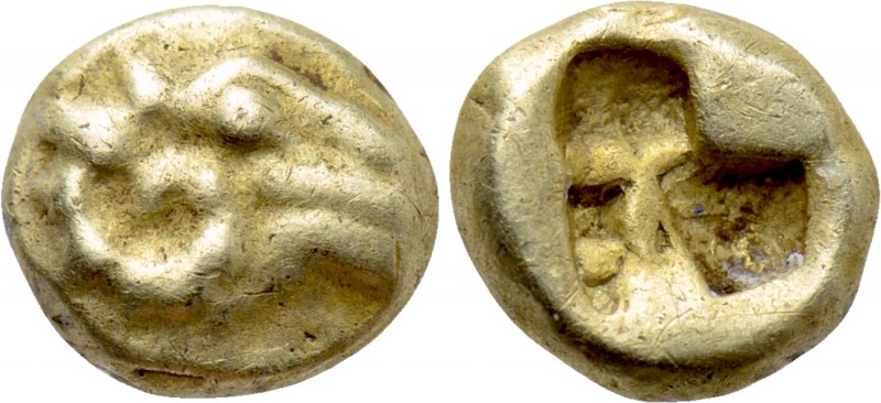 IONIA. Uncertain. EL 1/24 Stater (Circa 600-550 BC). 

Obv: Head of ram right....