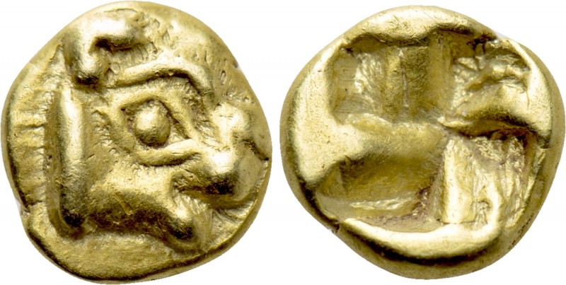 IONIA. Phokaia. EL 1/24 Stater (Circa 625/0-522 BC). 

Obv: Head of seal right...