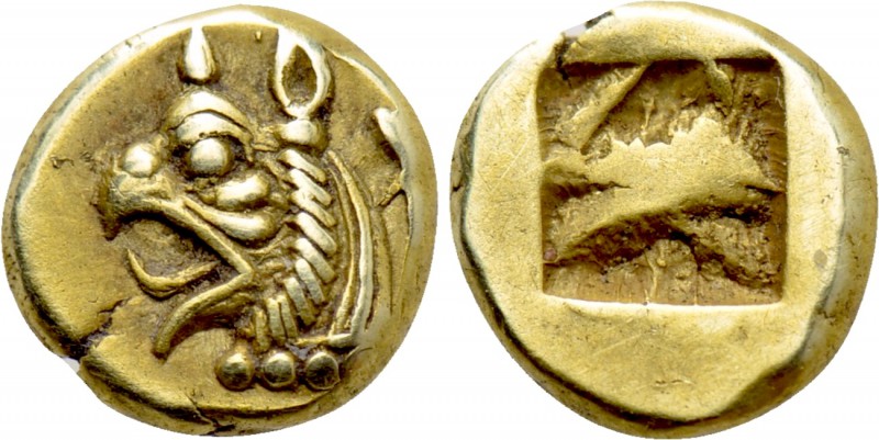 IONIA. Phokaia. EL 1/24 Stater (Circa 625/0-522 BC).

Obv: Head of griffin lef...