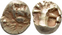 CARIA. Mylasa(?) EL 1/24 Stater (Mid 6th century BC).