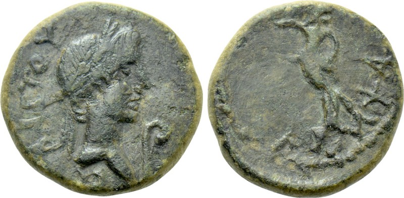 MYSIA. Lampsacus. Augustus (27 BC-14 AD). Ae. 

Obv: CЄBACTOY. 
Laureate head...