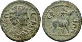IONIA. Ephesus. Geta (Caesar, 198-209). Ae.
