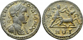 IONIA. Ephesus. Gordian III (238-244). Ae.