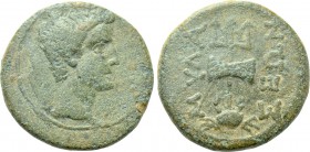 CARIA. Mylasa. Augustus (27 BC-14 AD). Ae.