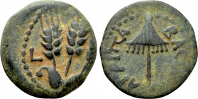 JUDAEA. Agrippa I (52-59). Ae Prutah. Jerusalem. Dated year 6.