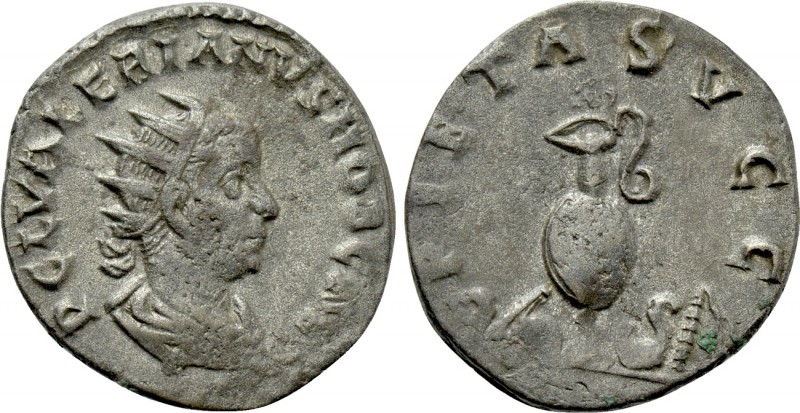 VALERIAN II (Caesar, 256-258). Antoninianus. Colonia Agrippinensis. 

Obv: P C...
