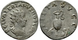 VALERIAN II (Caesar, 256-258). Antoninianus. Colonia Agrippinensis.