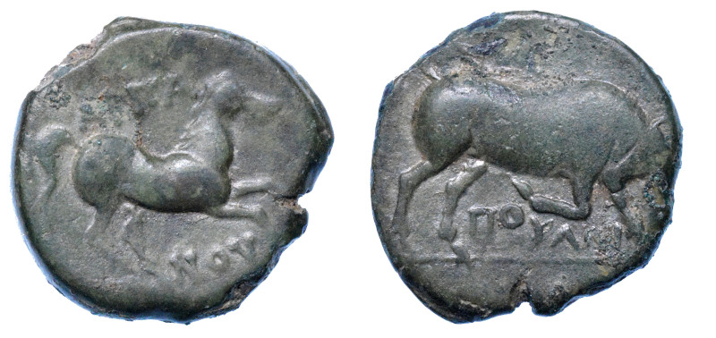 APULIA - ARPI.

Bronzo, 275-250 a.C.

Cavallo al galoppo verso d. ΑΡΠΑ-ΝOY s...