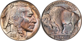 1929-S Buffalo Nickel. MS-64 (PCGS). OGH Generation 3.1.
PCGS# 3968. NGC ID: 22SG.

Estimate: $175