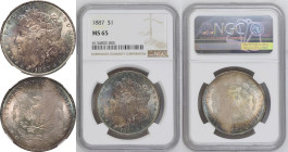 United States Morgan dollars 1887 Silver 1 Dollar NGC MS 65