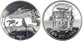 Jamaica, 10 Dollars, 1980, Hummingbirds - Streamer-tailed hummingbird. Mintage: 5.394 pcs. Ag.925 22,45 g, KM 86a, PROOF