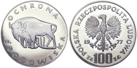 Poland, 100 Zlotych, 1977, Environmental protection - Buffalo. Mintage: 30.050 pcs. Ag.625 16,50 g, Y 87, PROOF