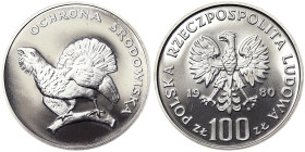 Poland, 100 Zlotych, 1980, Environmental protection - Cappercaillie. Mintage: 18.000 pcs. Ag.625 16,50 g, Y 121, PROOF