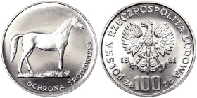 Poland, 100 Zlotych, 1981, Environmental protection - Horse. Mintage: 12.000 pcs. Ag.625 16,50 g, Y 126, PROOF