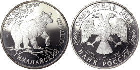 Russia, Rouble, 1994, Red Data Book - Himalayan Black Bear. Ag.900 17,44 g, Y 374, PROOF